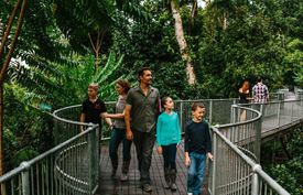 mamu-elevated-walkway